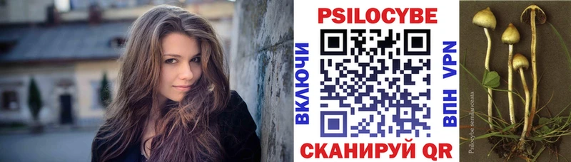 Псилоцибиновые грибы ЛСД  Жиздра 